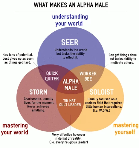 What makes an alpha male